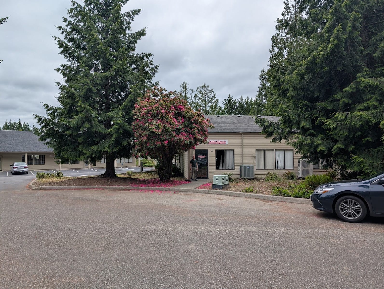 CarePlus Chiropractic, photo 3