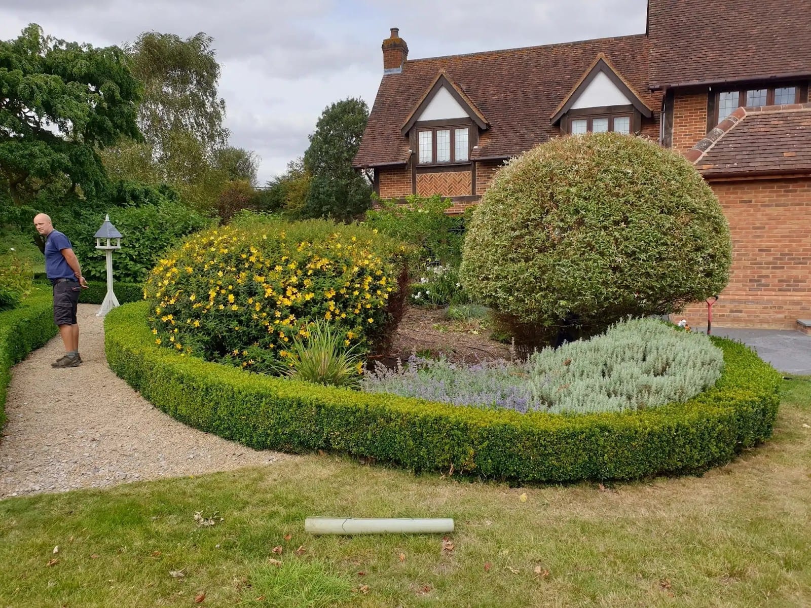 St Albans Gardening Services, photo 3