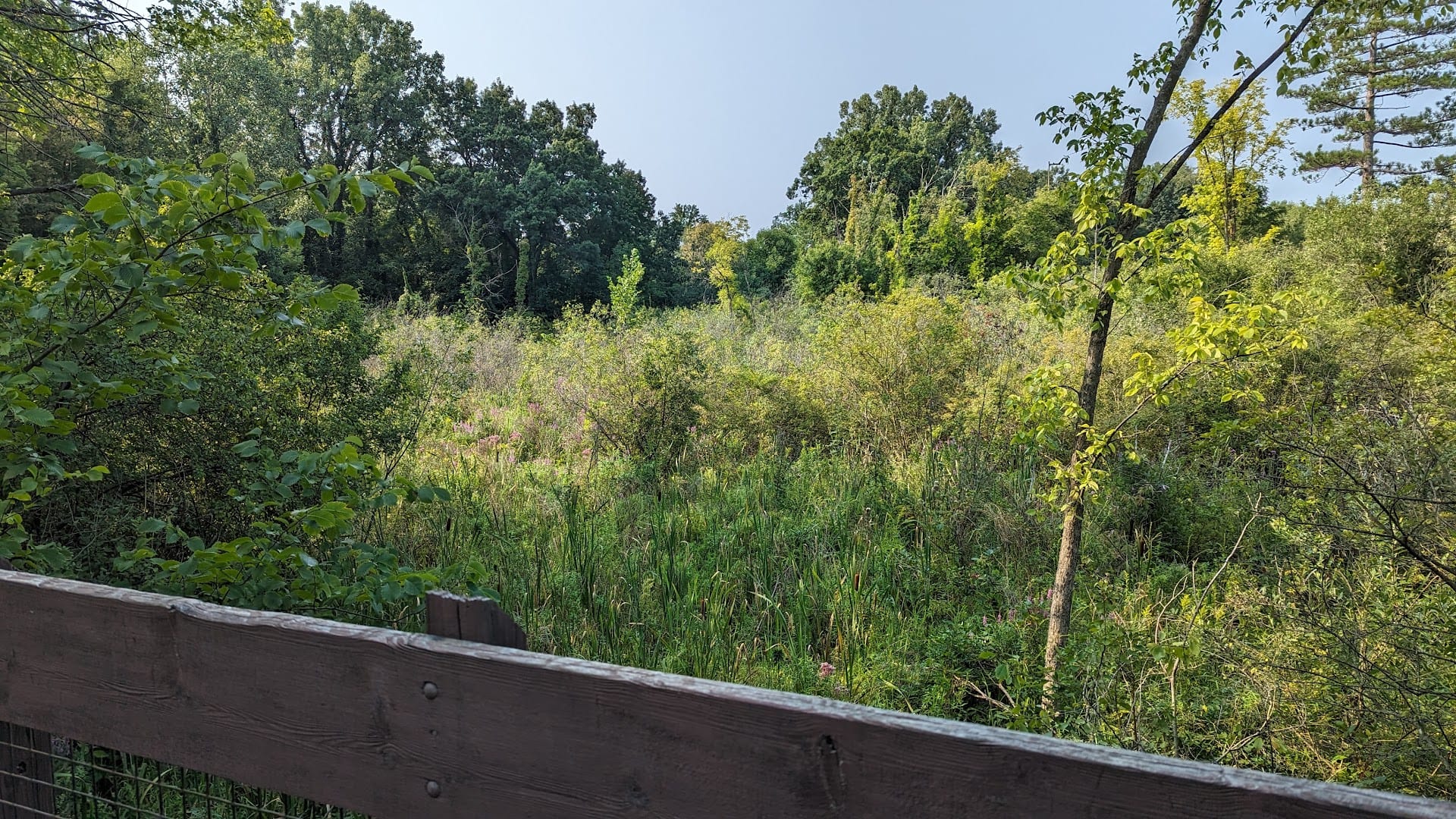 Brickyard Creek Trail, photo 2