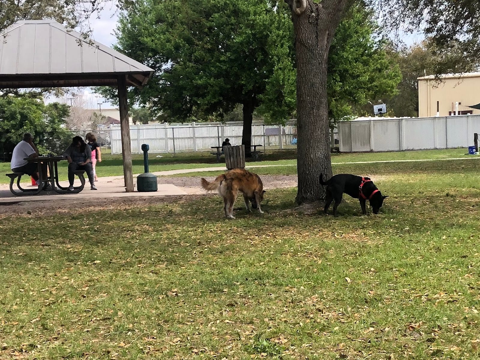 Edgewater Dog Park