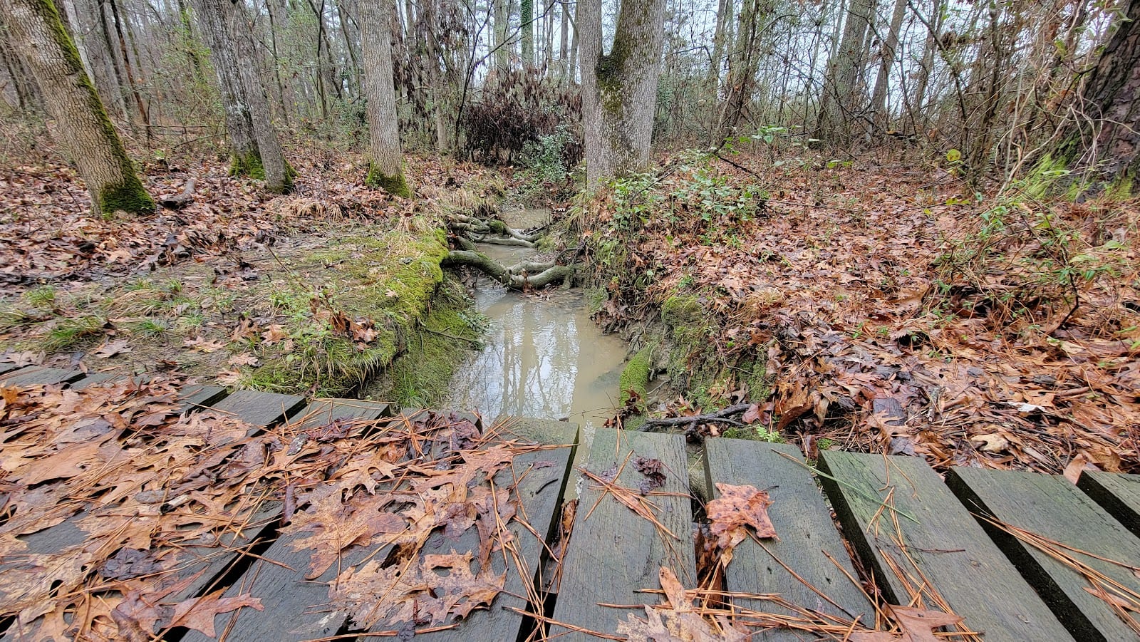 GE Trails