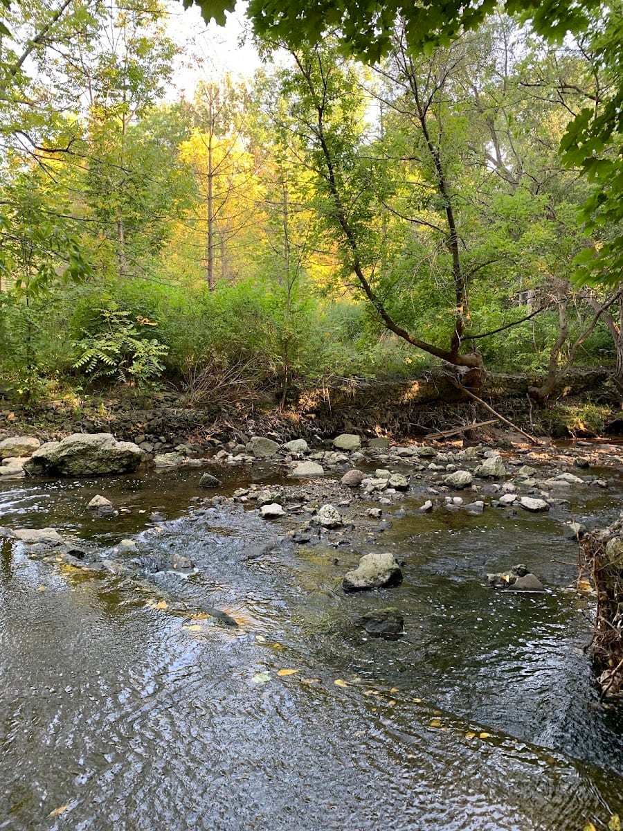 Taylor Creek Park