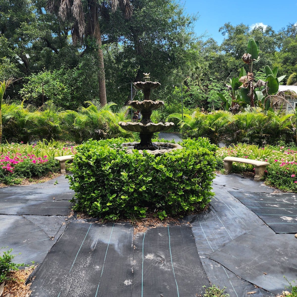 Creator's Farm and Garden, photo 4