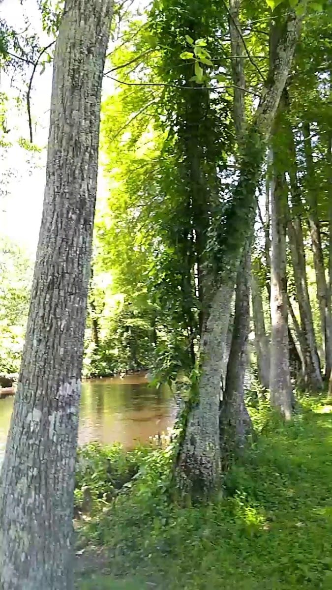 Boyle Park, photo 2