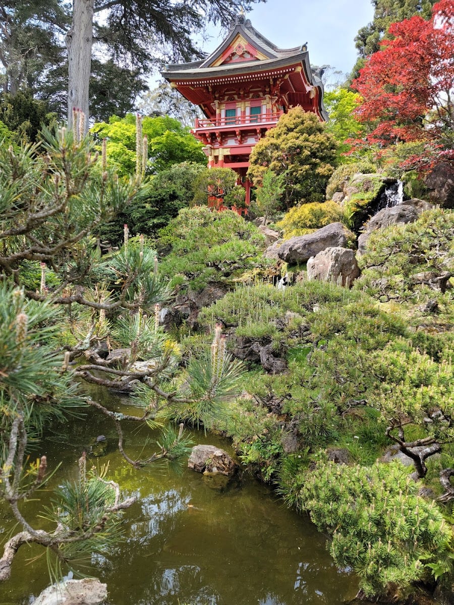 Golden Gate Park
