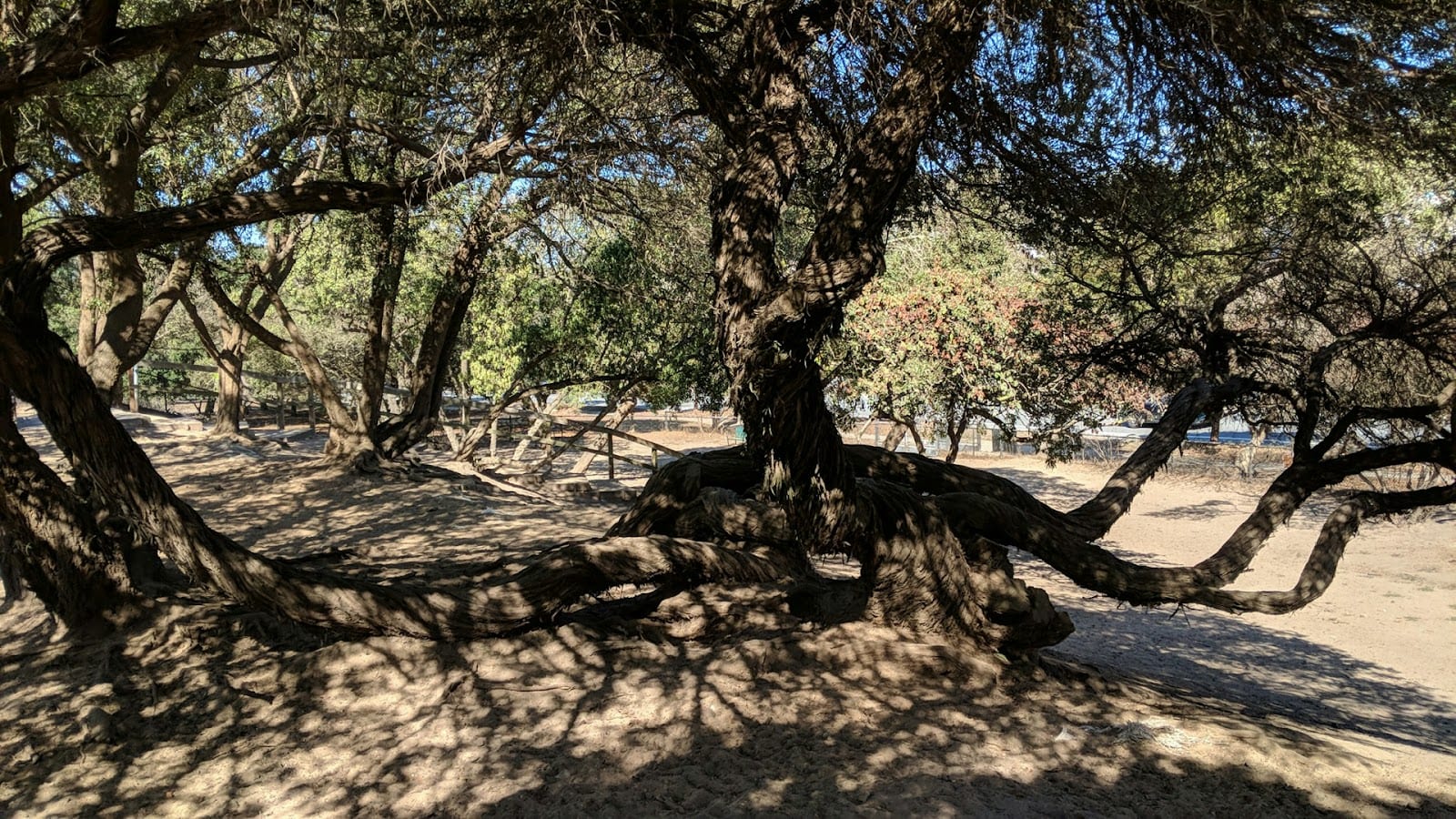 Brotherhood Way Open Space, photo 2