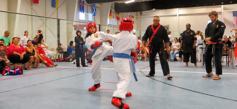 Peaceful Warrior Martial Arts & Healing Center, photo 3