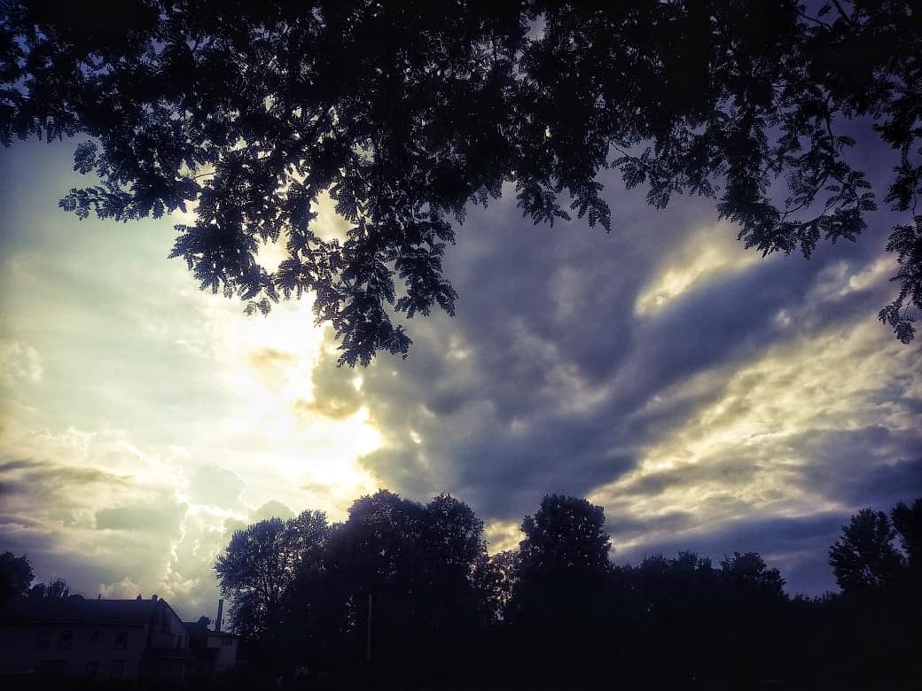 Lunsford Circle Park, photo 3