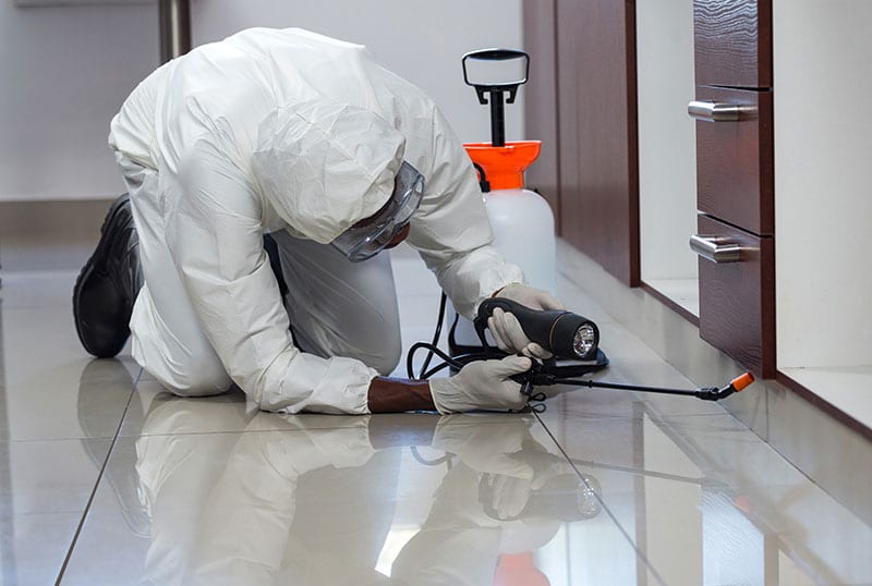 Pest control Florida 24, photo 2