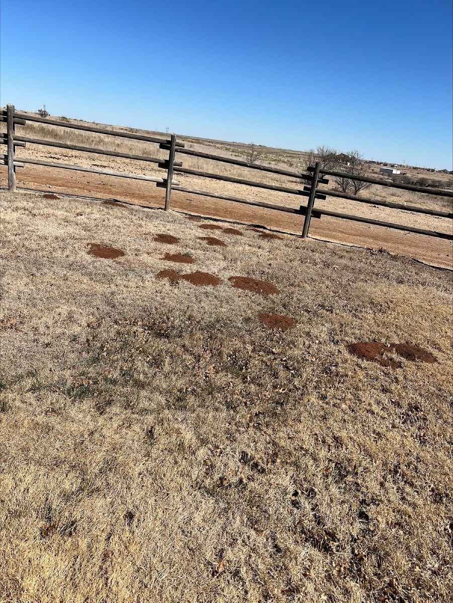 South Plains Pest Control, photo 3