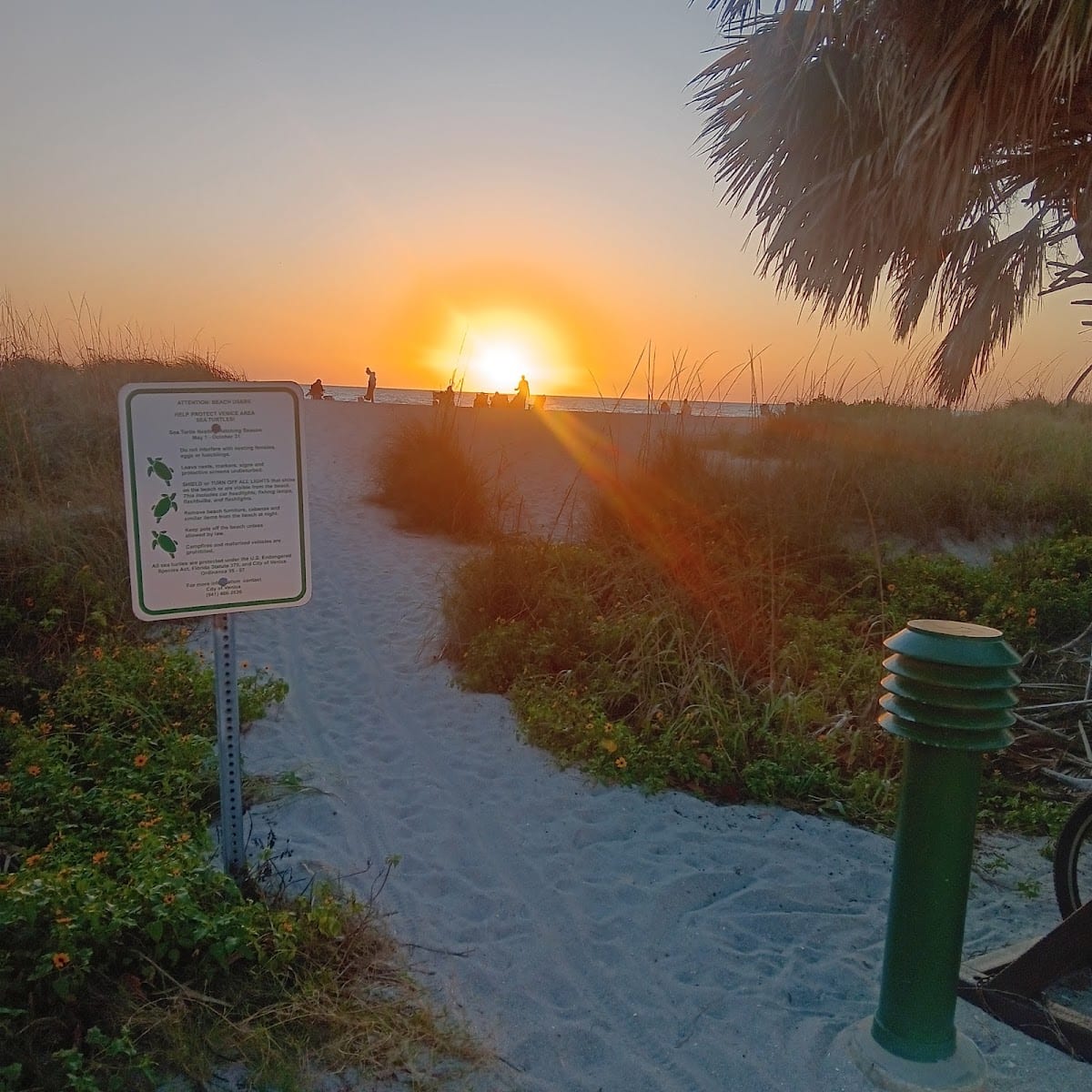Palm Realty Property Management | Venice