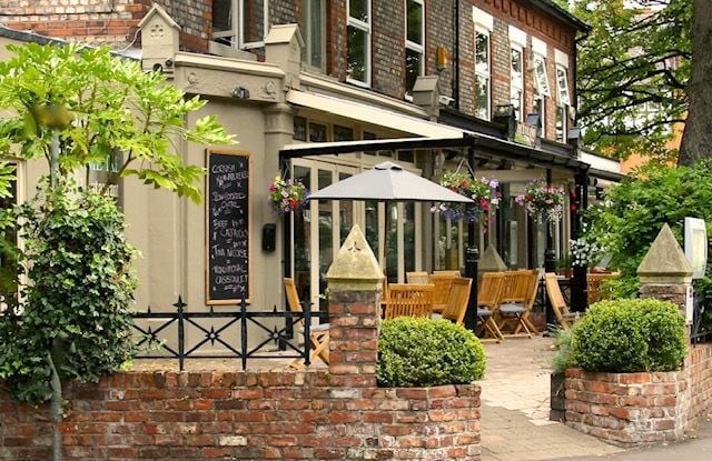 The Lime Tree