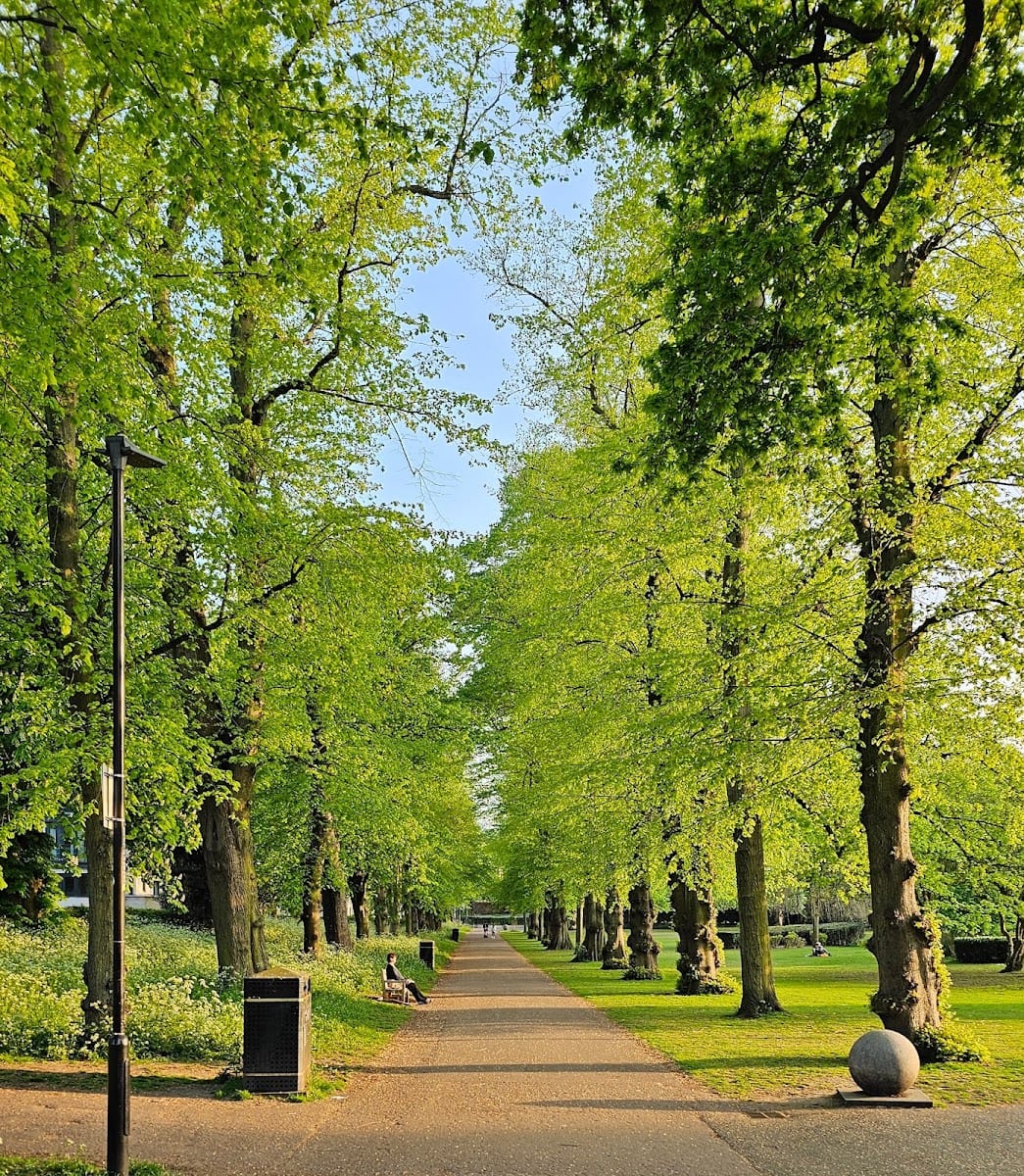 Chapelfield Gardens