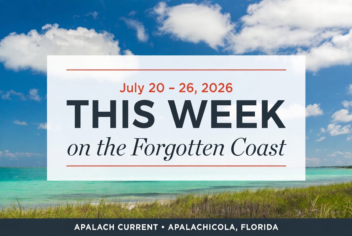 Sun and  New Pet Friends:  Is Apalachicola's Forgotten Coast the South's Most Underrated Hidden Gem?