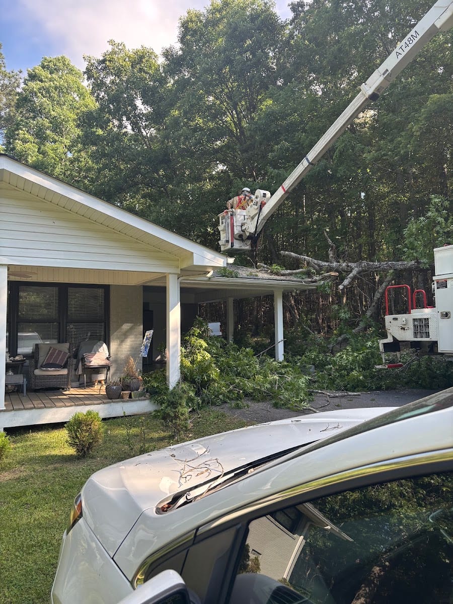 Maloney's Tree Service