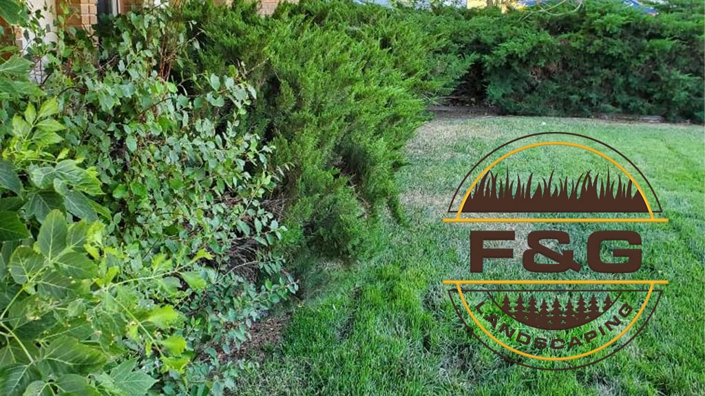 F&G Landscaping, photo 2
