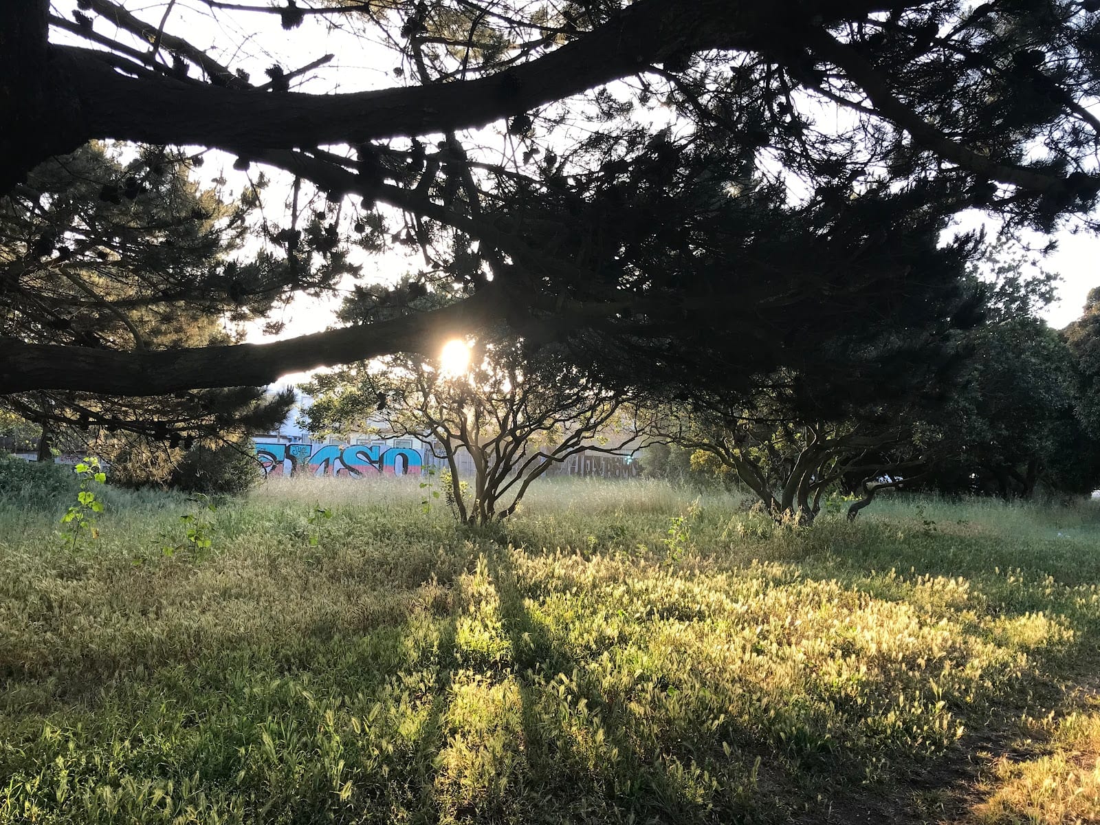 Brotherhood Way Open Space, photo 3