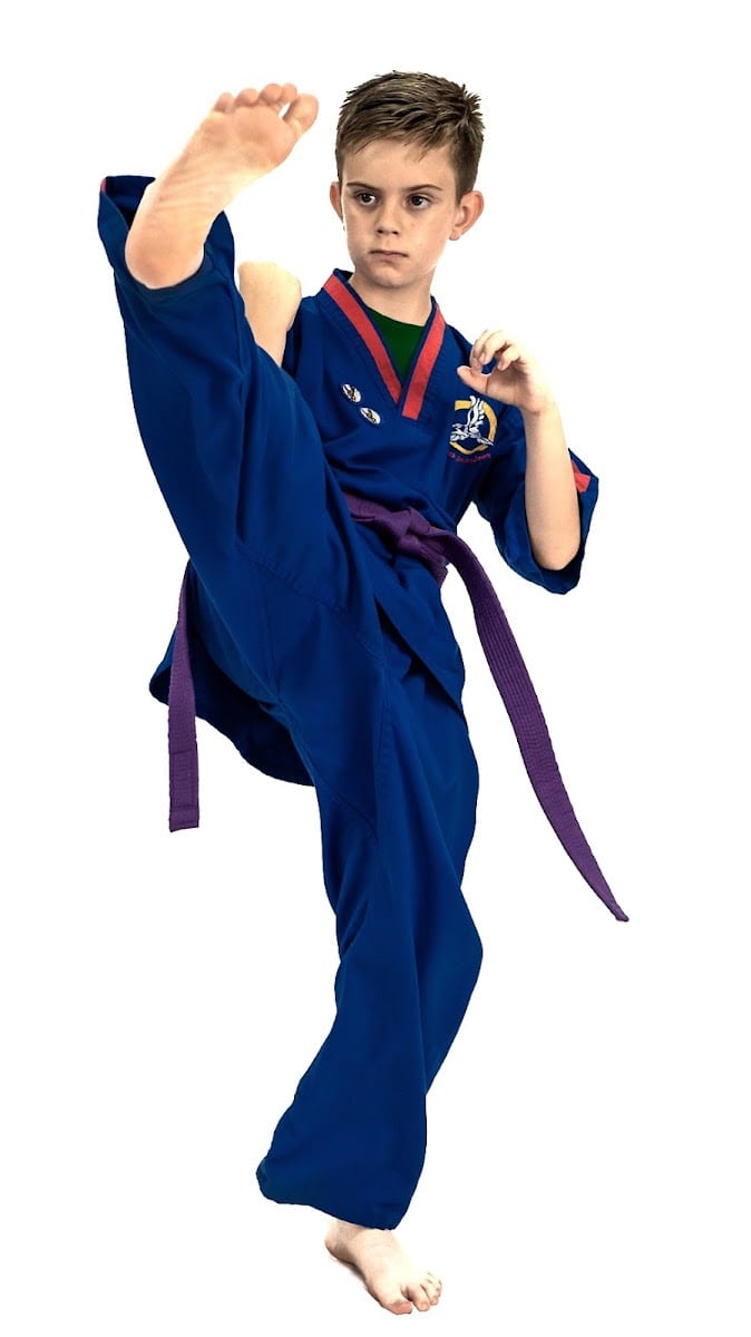 Black Belt Academy, photo 3