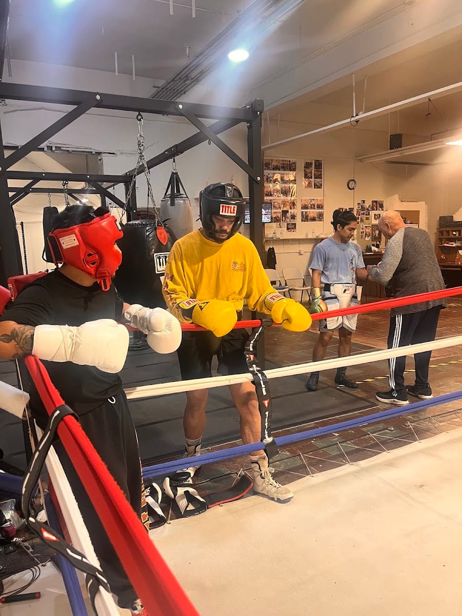 Brick3 boxing, photo 4