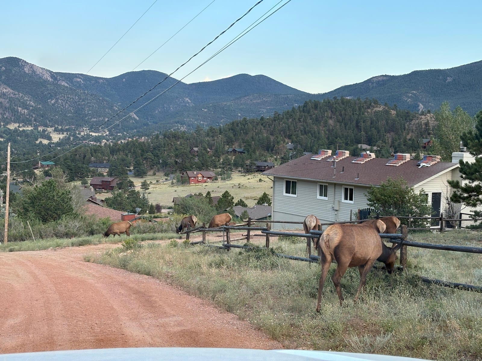 Weddle and Sons Roofing of Estes Park, photo 3