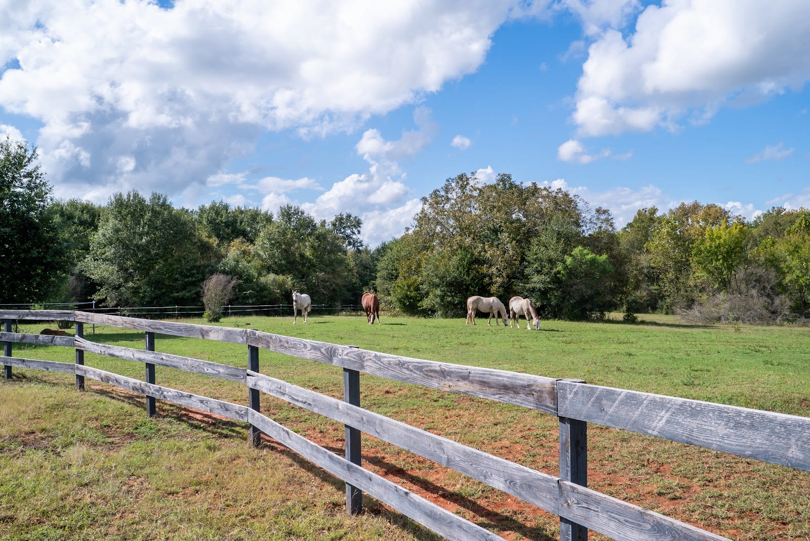 Jordan Creek Lodge and Equestrian Resort at Jordan Creek Ranch, photo 4