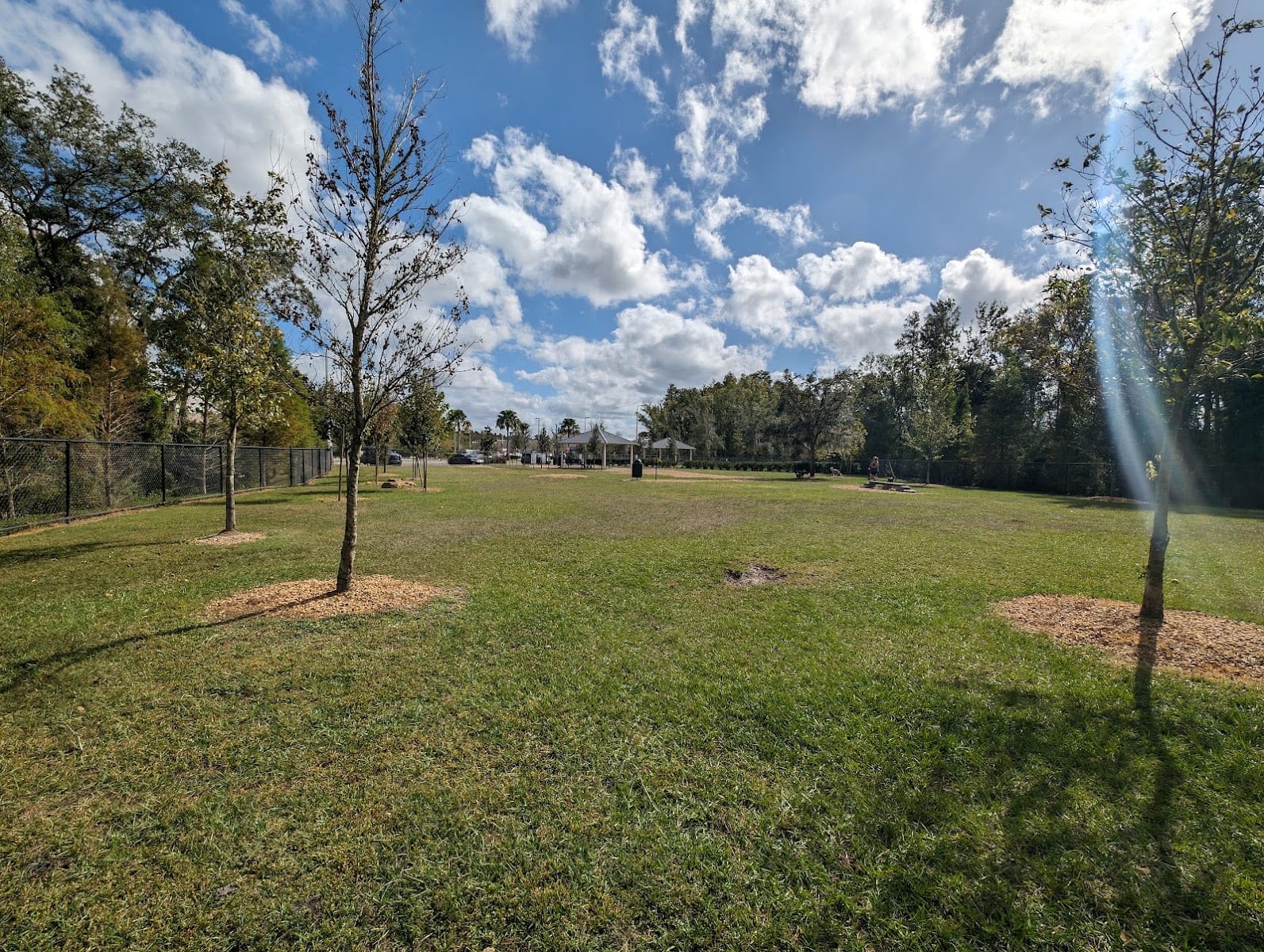 New Tampa Dog Park, photo 2