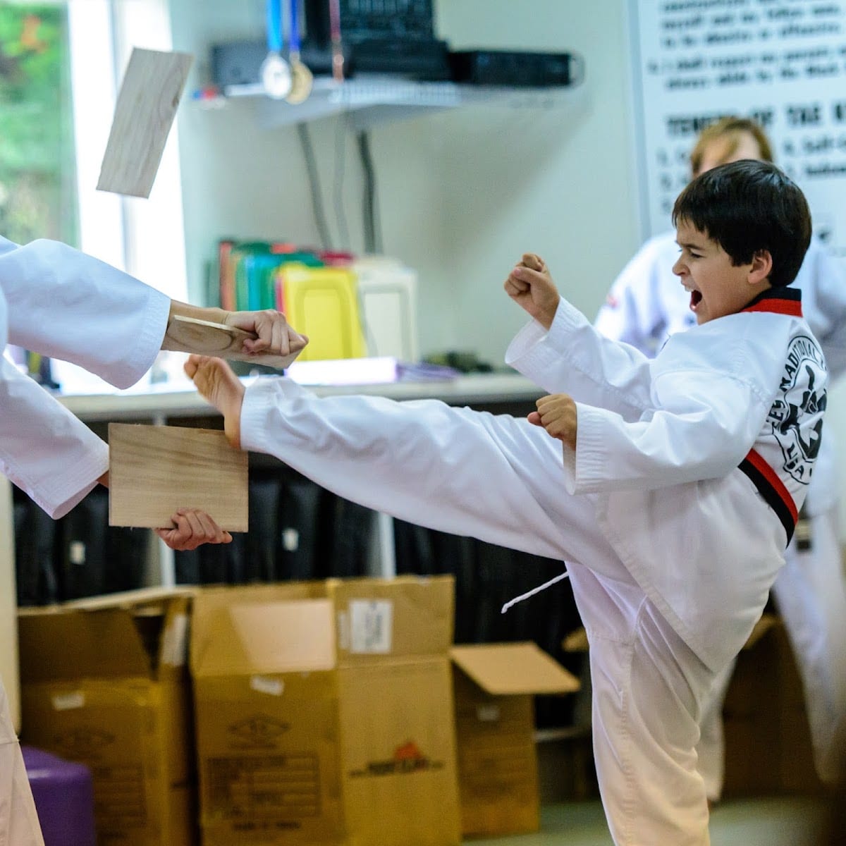 Lee's Traditional Taekwondo, photo 3
