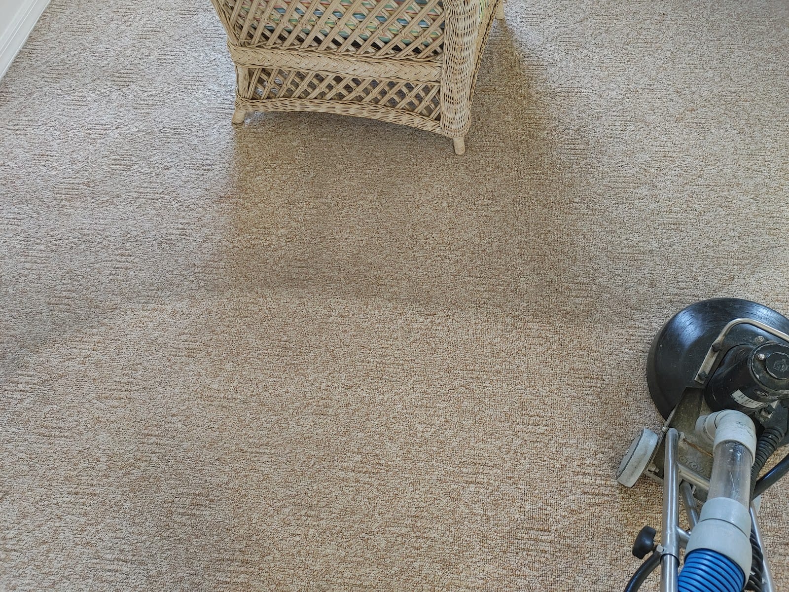 Crystal Carpet & Tile Cleaners of Venice