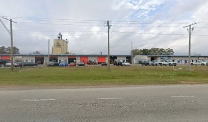 Auto Body & Paint
