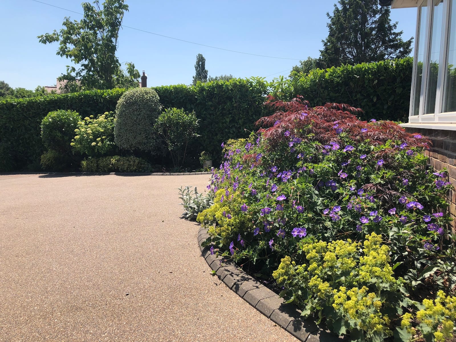 Olive Tree Gardens, photo 2