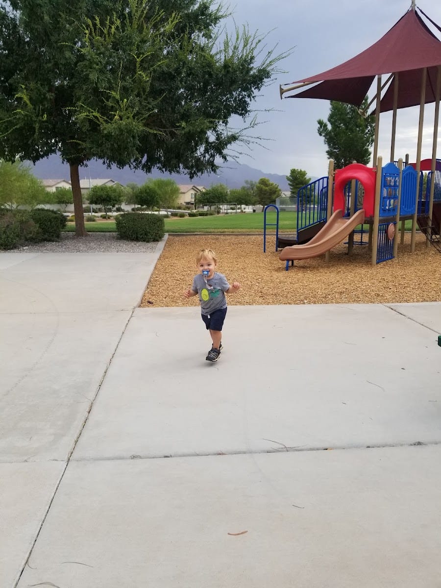 Spring Mountain Ranch Playground, photo 3