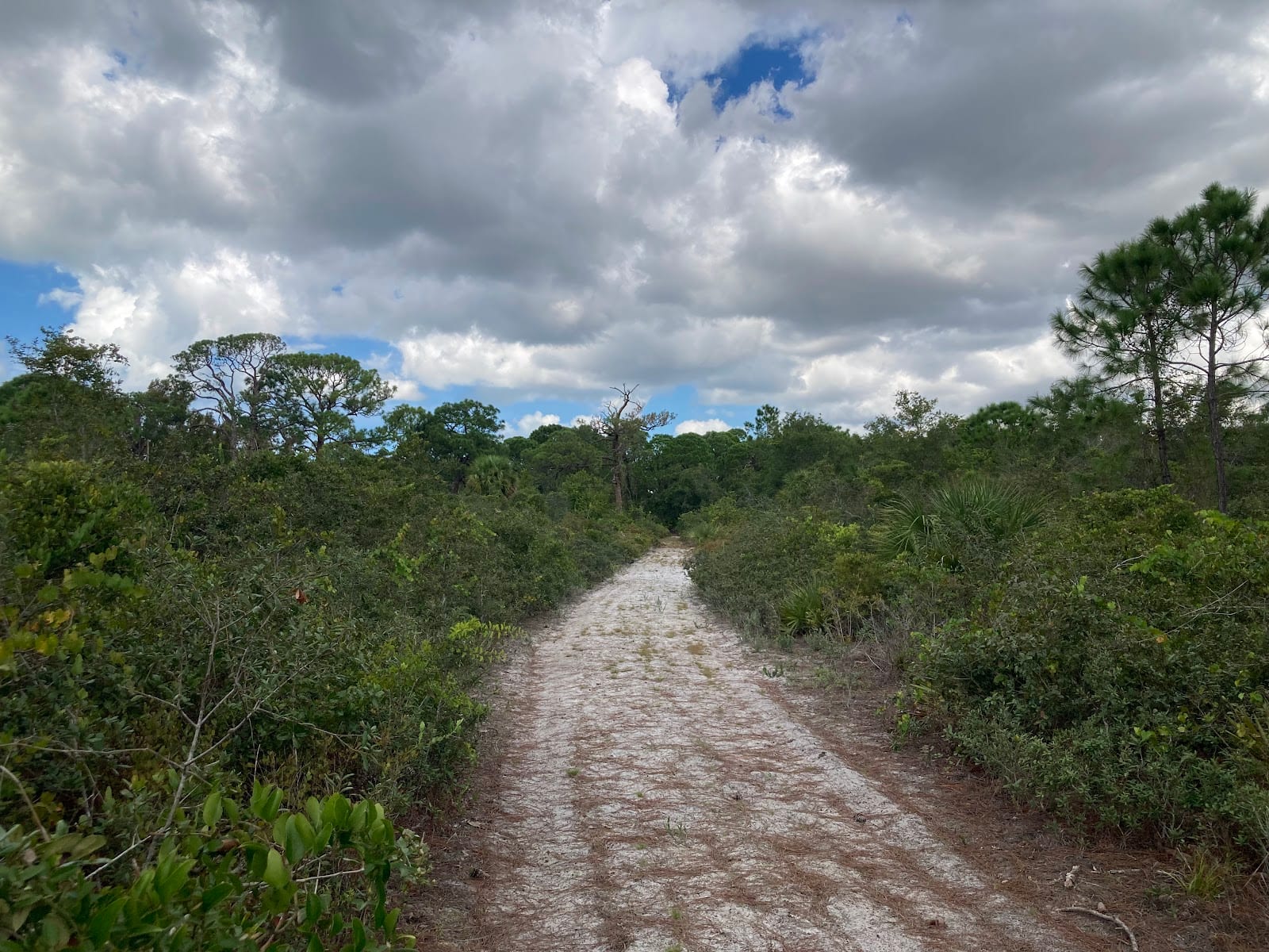 Bayonne Preserve