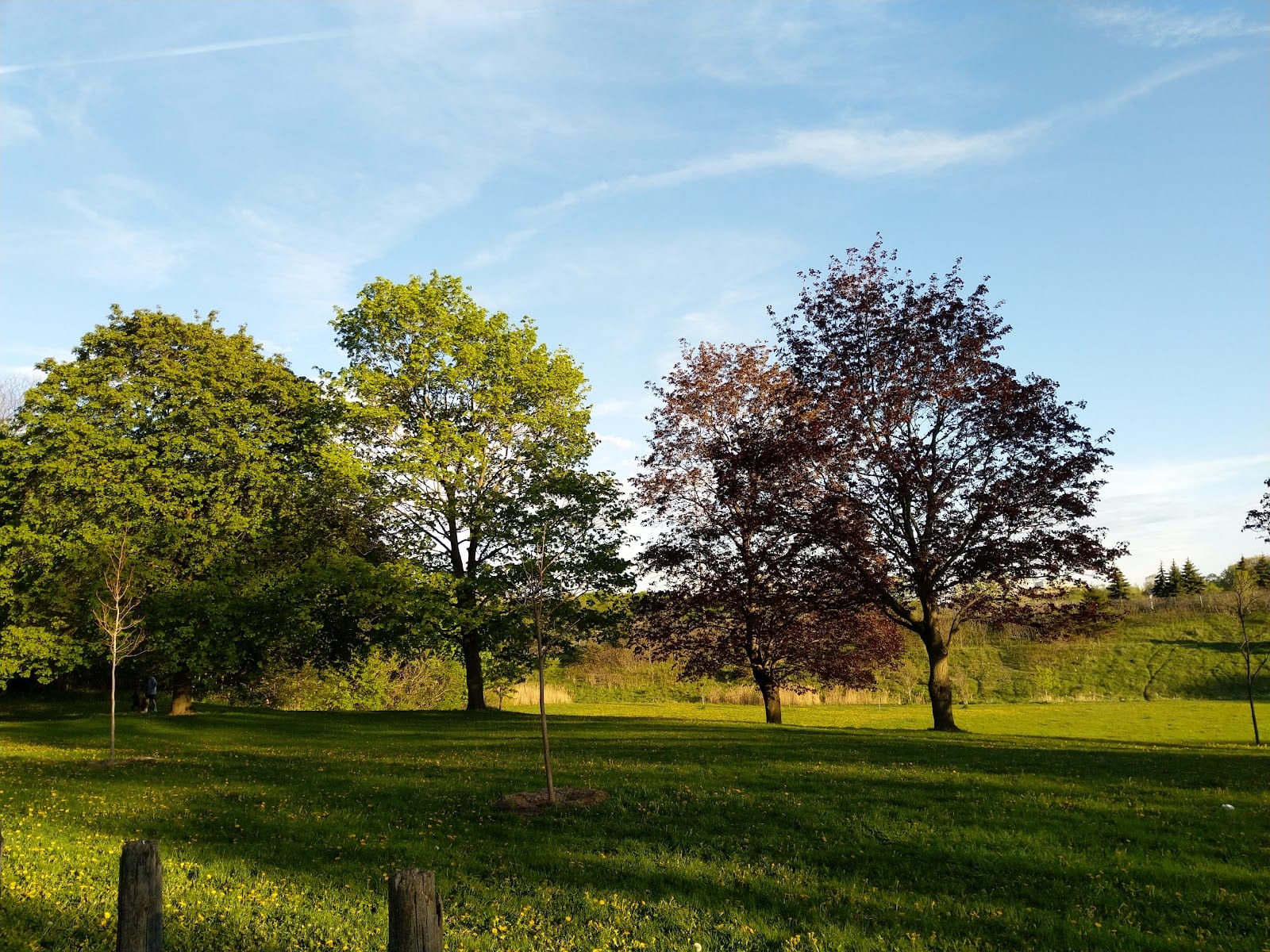 Havenbrook Park, photo 3