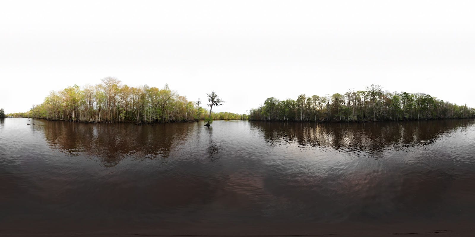 Mobile County River Delta Nature Walk