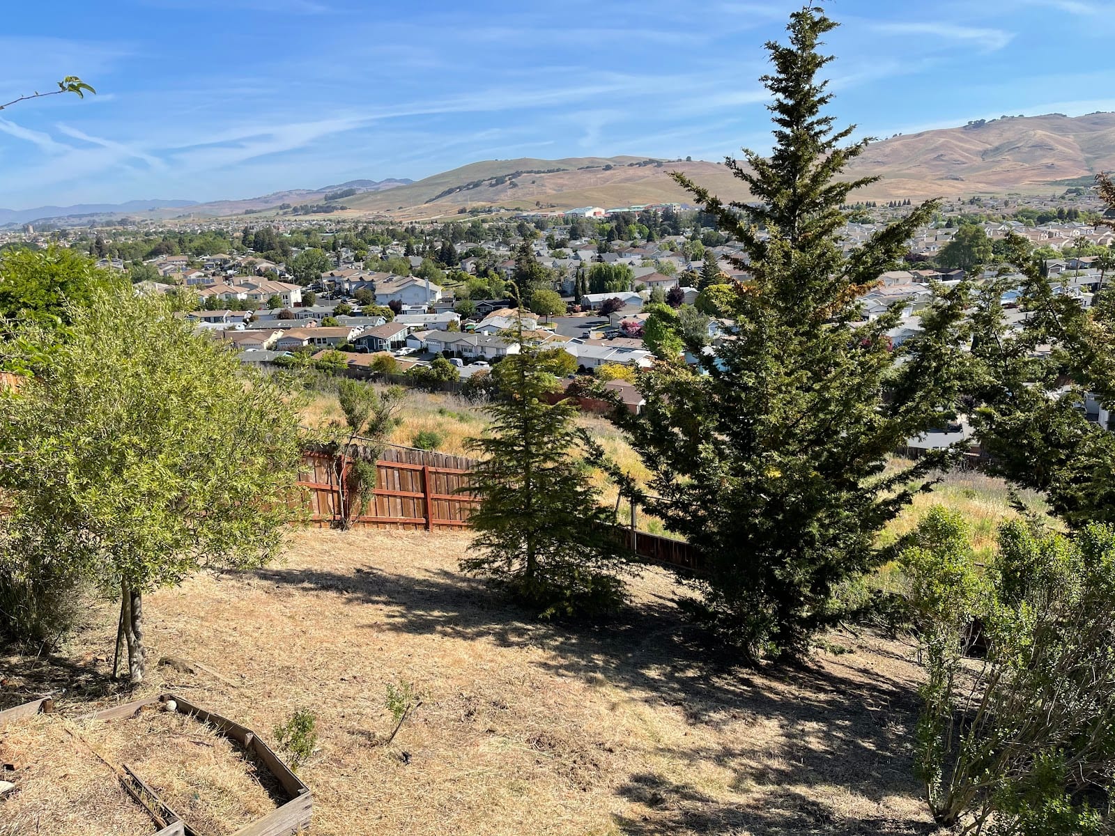 American Canyon Landscape, photo 3