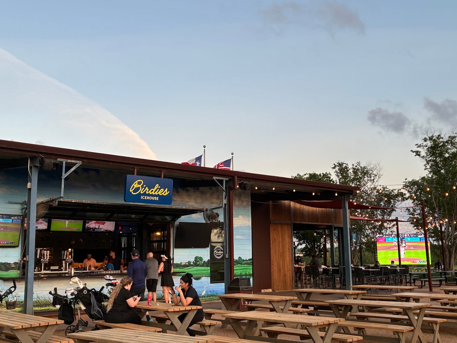 Birdies Icehouse, photo 2