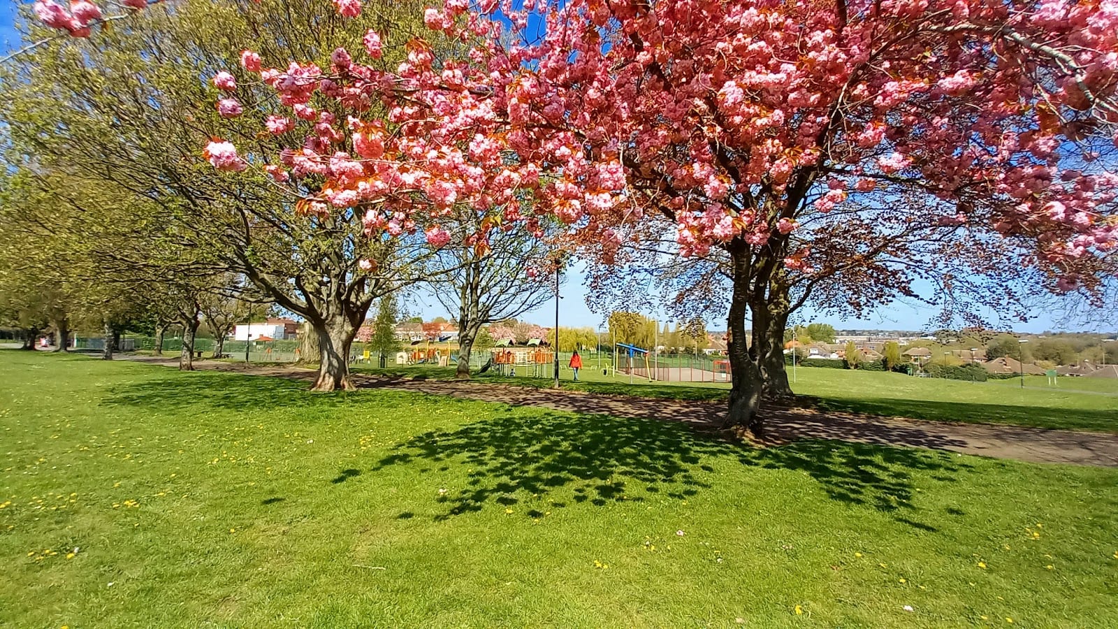 Henderson Playground, photo 3