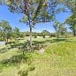 ECO Landcare