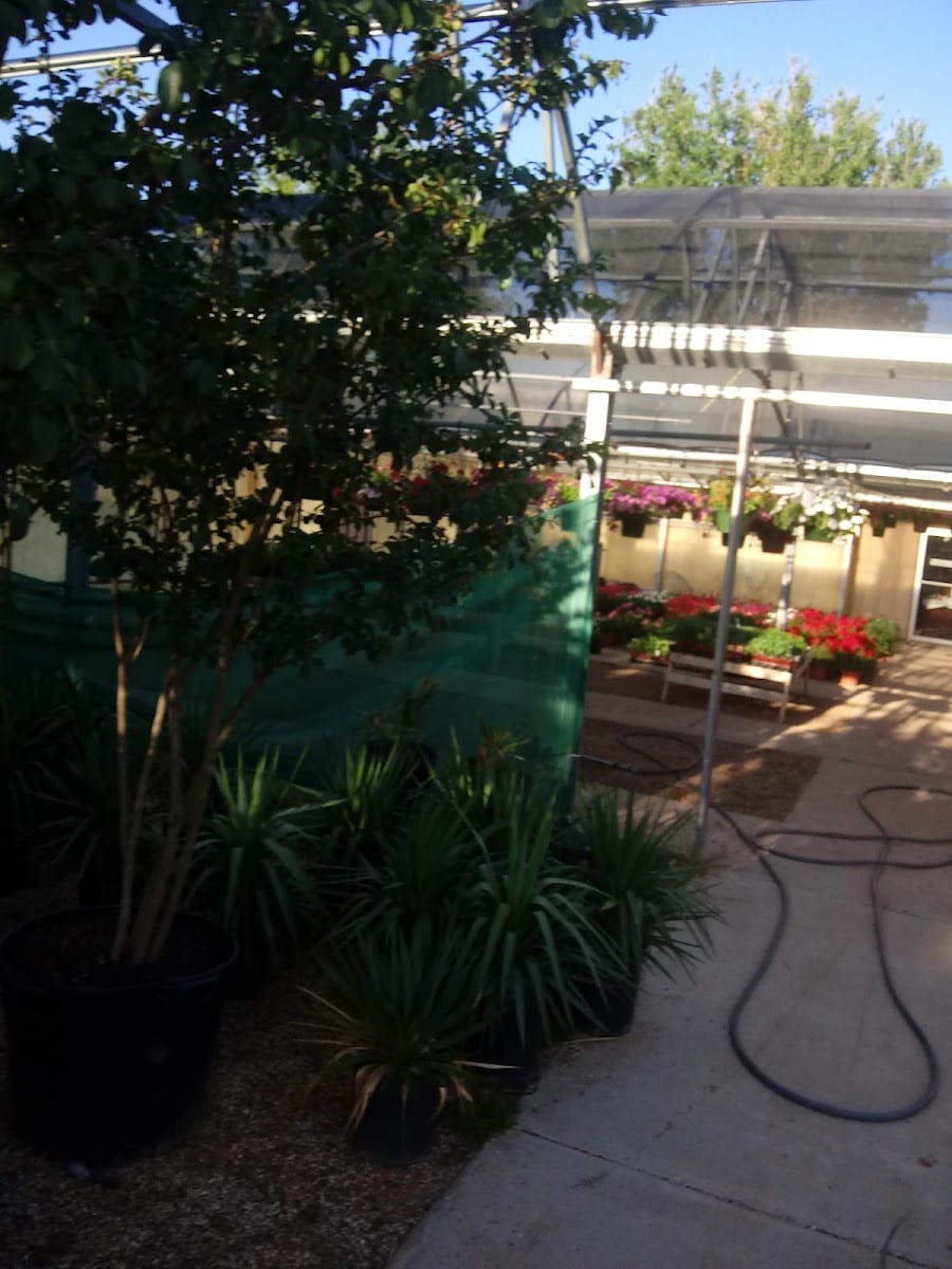 Paradise Lawn & Landscape, photo 3