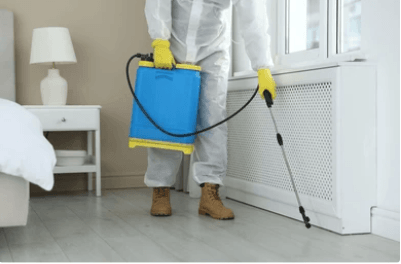 Mice Guys Pest Control, photo 2