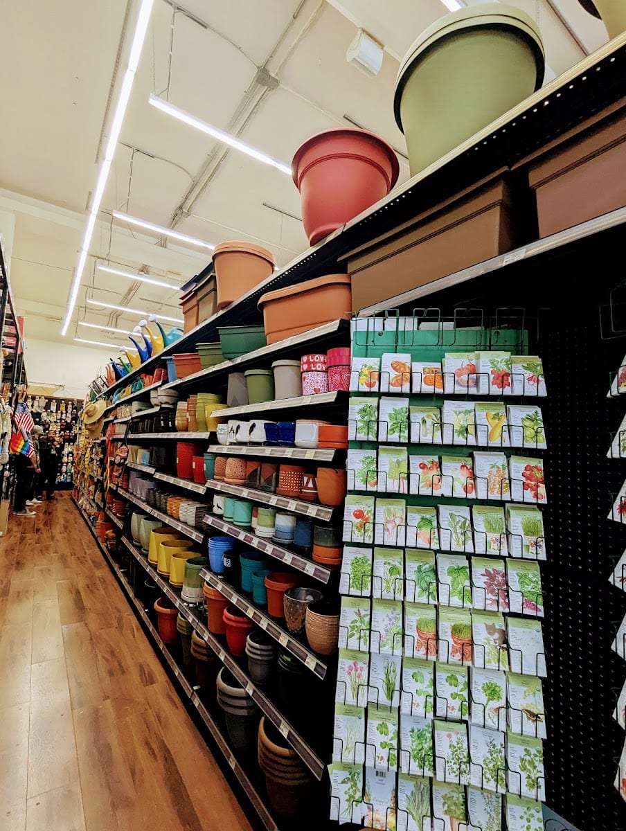 Cole Hardware, photo 4