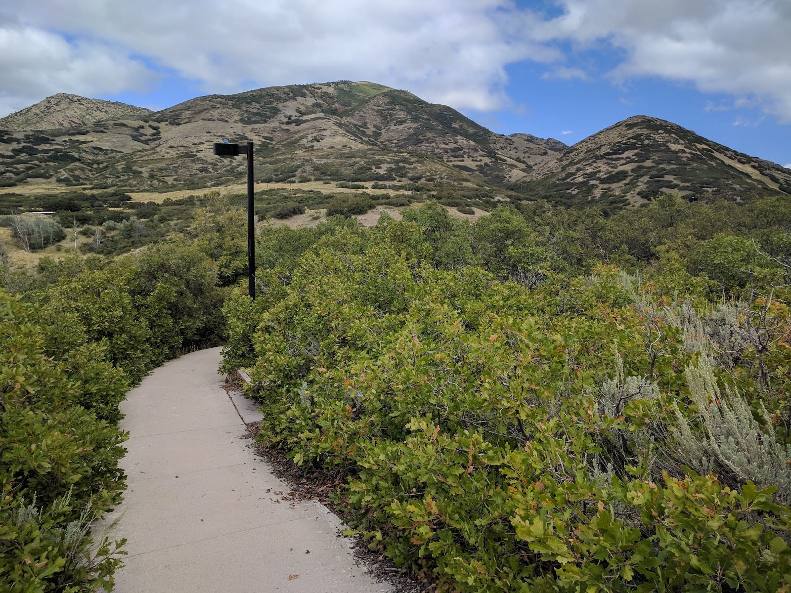 Donner Trail Park