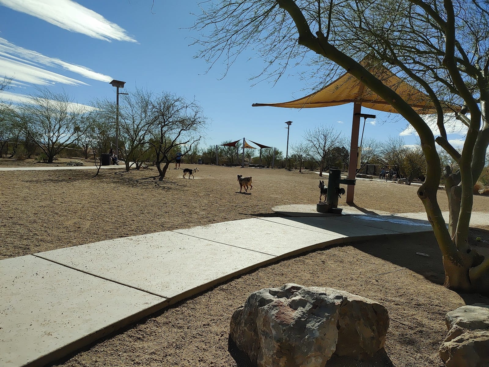 Ivan's Spot Dog Park