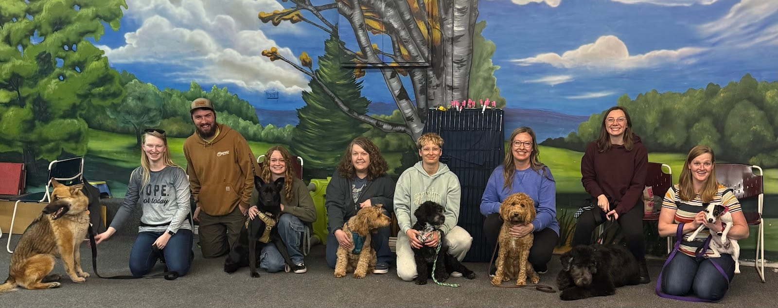 K9's Unleashed Training Academy, photo 2