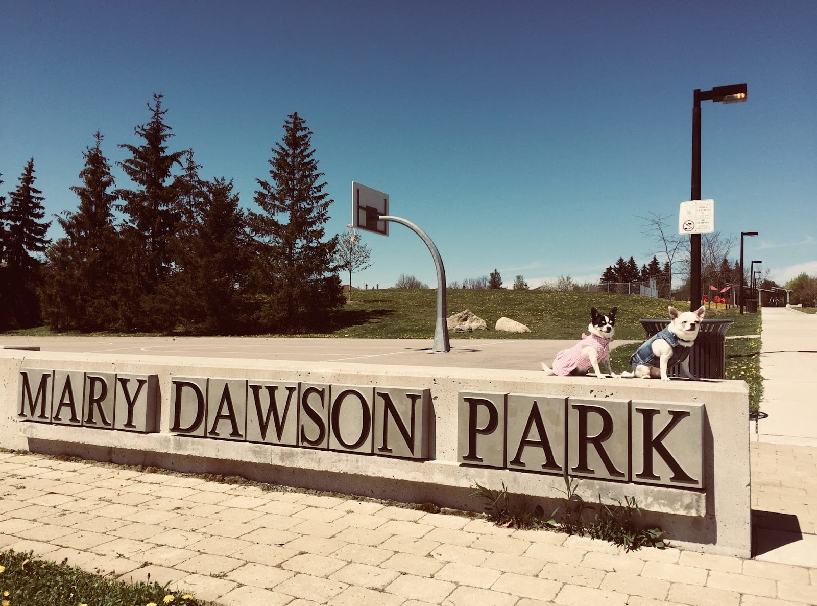 Mary Dawson Park, photo 2