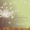 DANDELION Luxury Organic Salon and HEADSPA