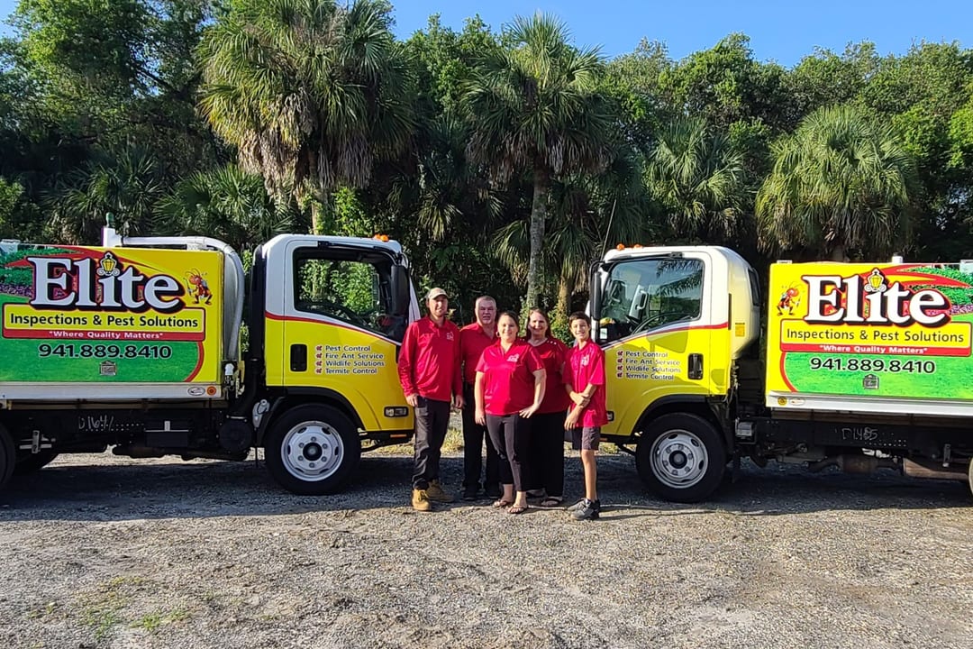 Elite Inspections & Pest Solutions, photo 4