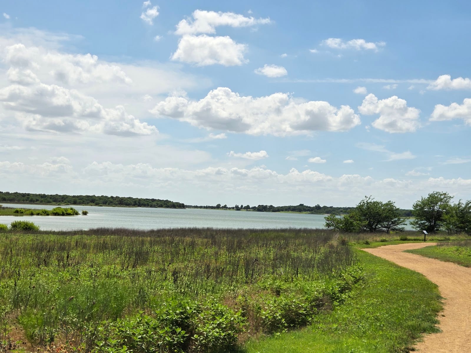Shoreline Trail