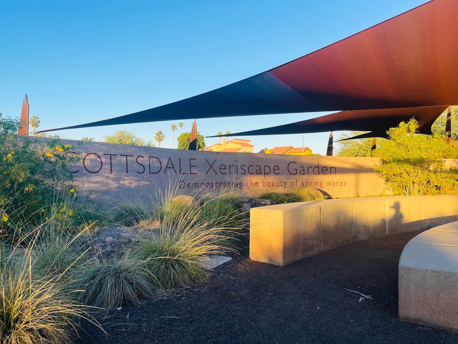 Scottsdale Xeriscape Garden