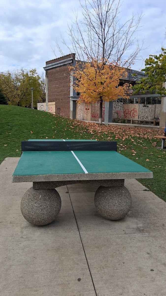 Wychwood Barns Dog Park, photo 2